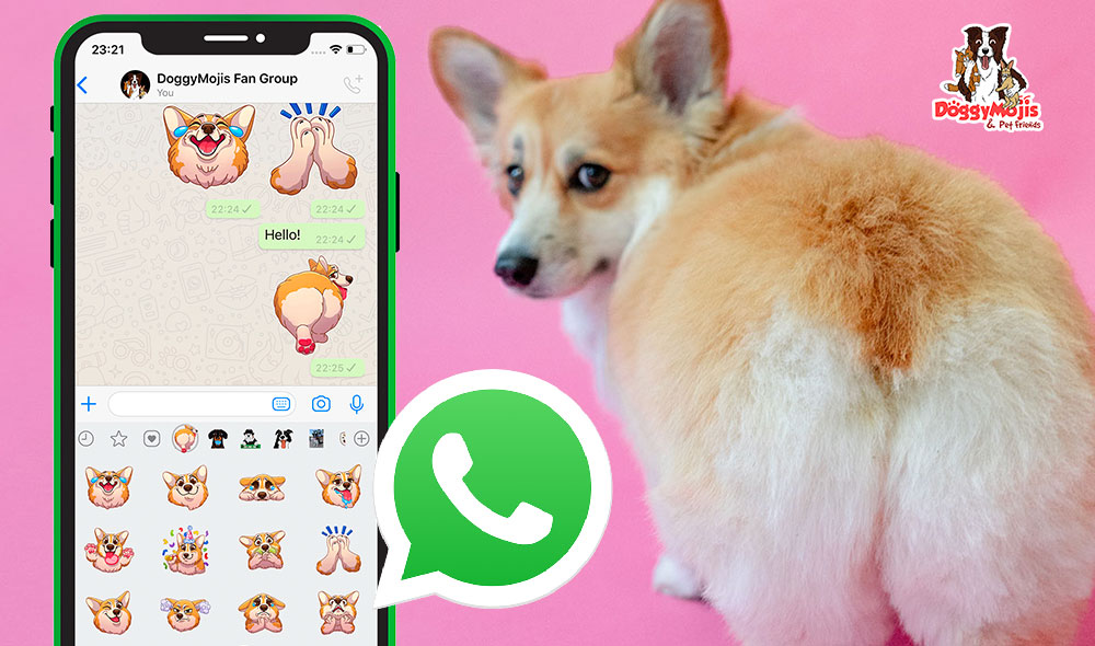 How to create pet emojis and stickers for WhatsApp iPhone & Android